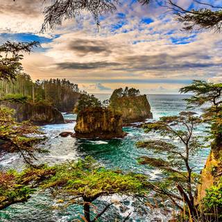 Washington coast wallpaper