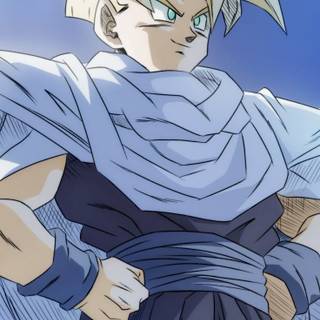 Gohan cape iPhone wallpaper
