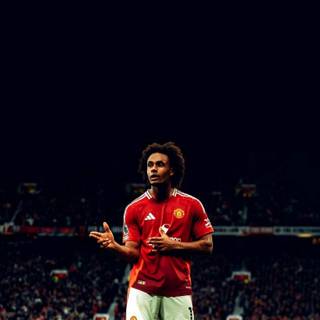 Manchester United Joshua Zirkzee wallpaper