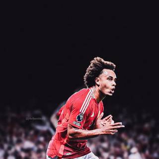 Manchester United Joshua Zirkzee wallpaper