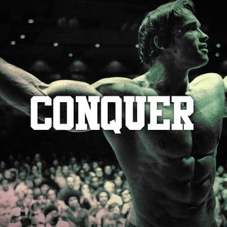 Arnold Schwarzenegger PC wallpaper