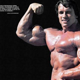 Arnold Schwarzenegger PC wallpaper
