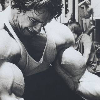 Arnold Schwarzenegger PC wallpaper