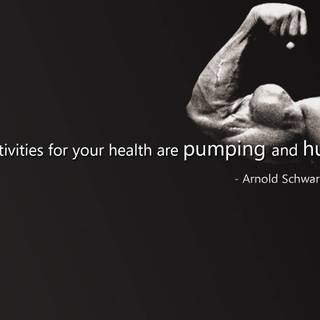Arnold Schwarzenegger PC wallpaper