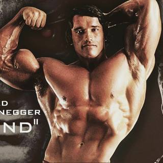 Arnold Schwarzenegger PC wallpaper