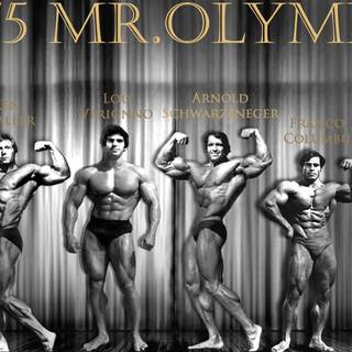 Arnold Schwarzenegger PC wallpaper