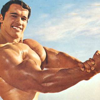 Arnold Schwarzenegger PC wallpaper