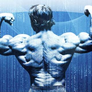 Arnold Schwarzenegger PC wallpaper