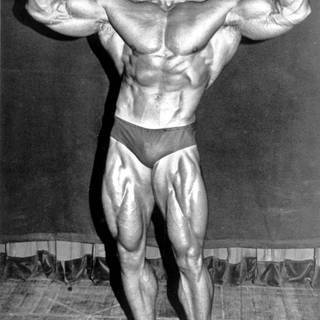 Arnold Schwarzenegger mobile wallpaper