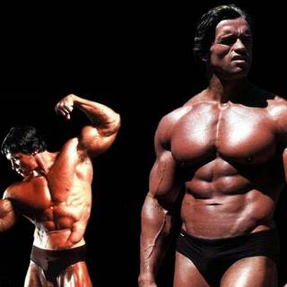 Arnold Schwarzenegger PC wallpaper