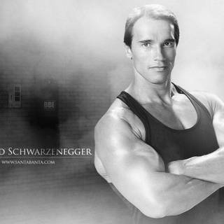 Arnold Schwarzenegger PC wallpaper