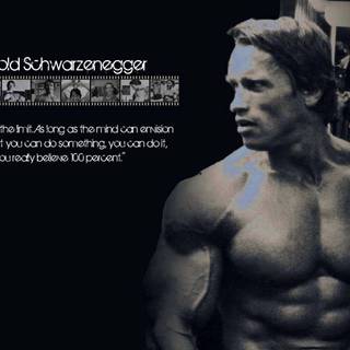 Arnold Schwarzenegger PC wallpaper