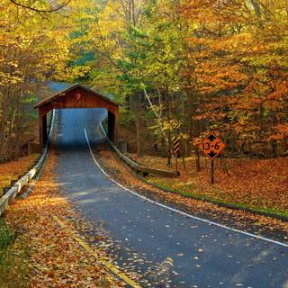 Arkansas autumn 2560x1600 wallpaper