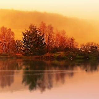 Fog autumn desktop wallpaper