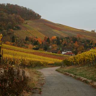 Cozy autumn 2k wallpaper