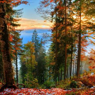 Cozy autumn 2k wallpaper