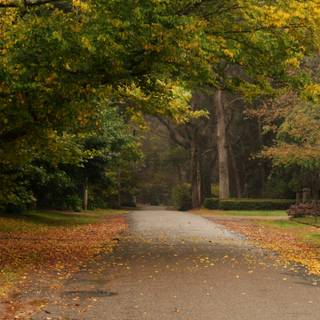 Autumn rain laptop wallpaper