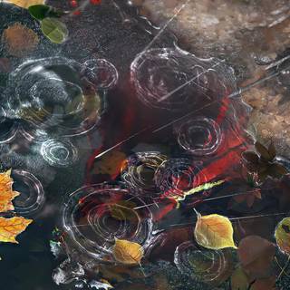 Autumn rain laptop wallpaper