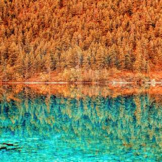 2560x1440 autumn orange wallpaper