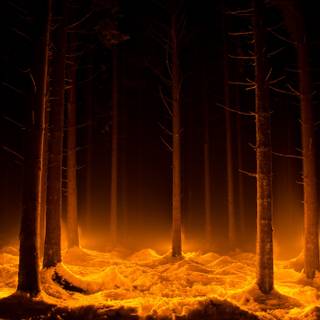 2560x1440 autumn orange wallpaper