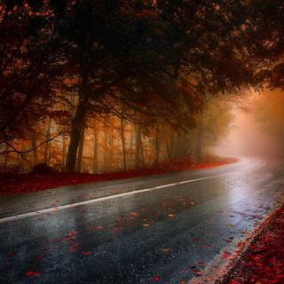 Autumn rain laptop wallpaper