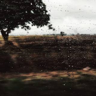 Autumn rain laptop wallpaper