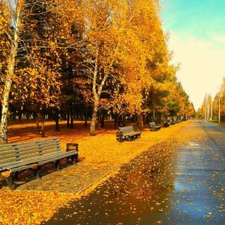 Autumn rain laptop wallpaper