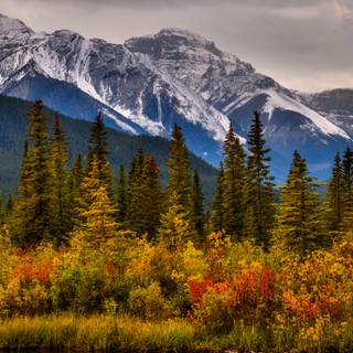 Canada mountain autumn wallpaper