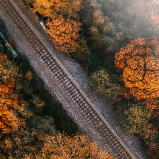 2560x1440 autumn orange wallpaper