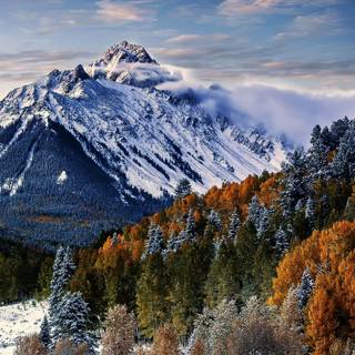 Fog autumn desktop wallpaper