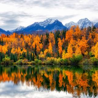 Canada mountain autumn wallpaper