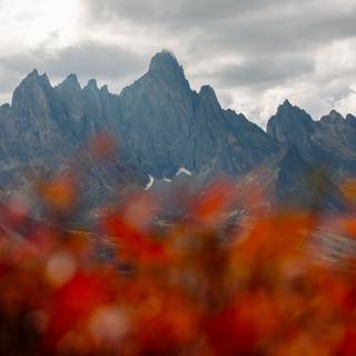 Canada mountain autumn wallpaper