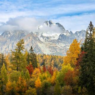 Canada mountain autumn wallpaper