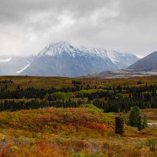 Canada mountain autumn wallpaper