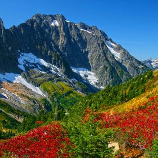 Canada mountain autumn wallpaper