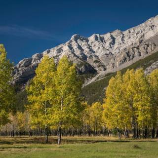 Canada mountain autumn wallpaper
