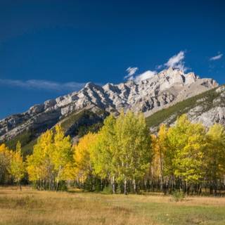 Canada mountain autumn wallpaper