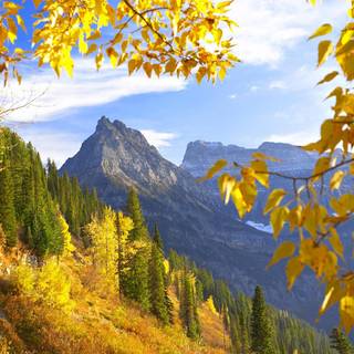 Canada mountain autumn wallpaper