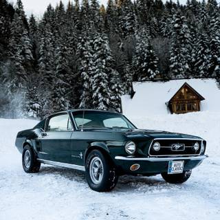 Ford Mustang winter wallpaper
