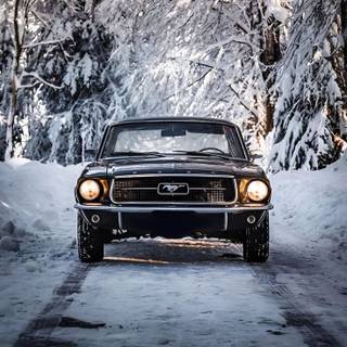 Ford Mustang winter wallpaper