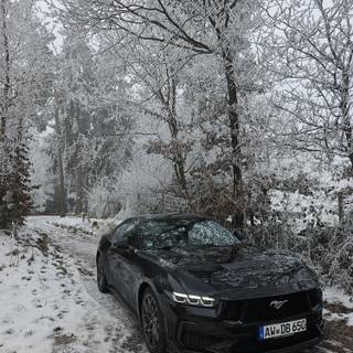 Ford Mustang winter wallpaper