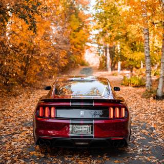 Autumn Mustang car wallpaper