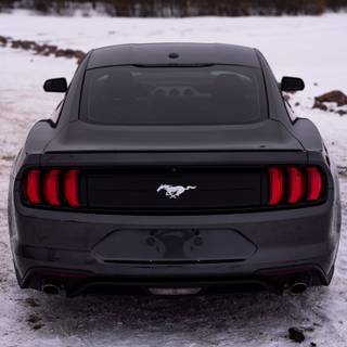 Ford Mustang winter wallpaper