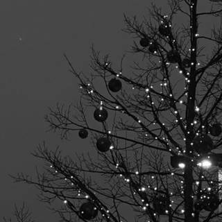 Dark winter Christmas wallpaper