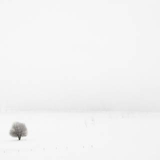 Winter minimalist ultrawide wallpaper