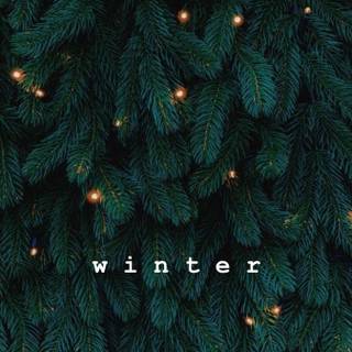 Dark winter Christmas wallpaper