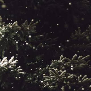 Dark winter Christmas wallpaper