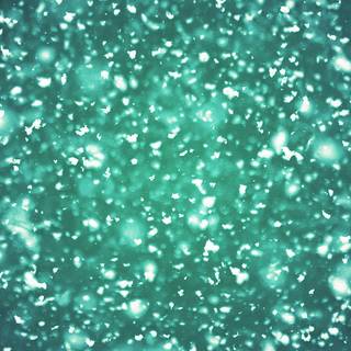 Winter pattern iPhone wallpaper