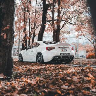 Sports car autumn wallpaper