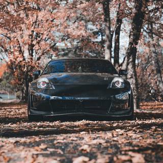 Sports car autumn wallpaper